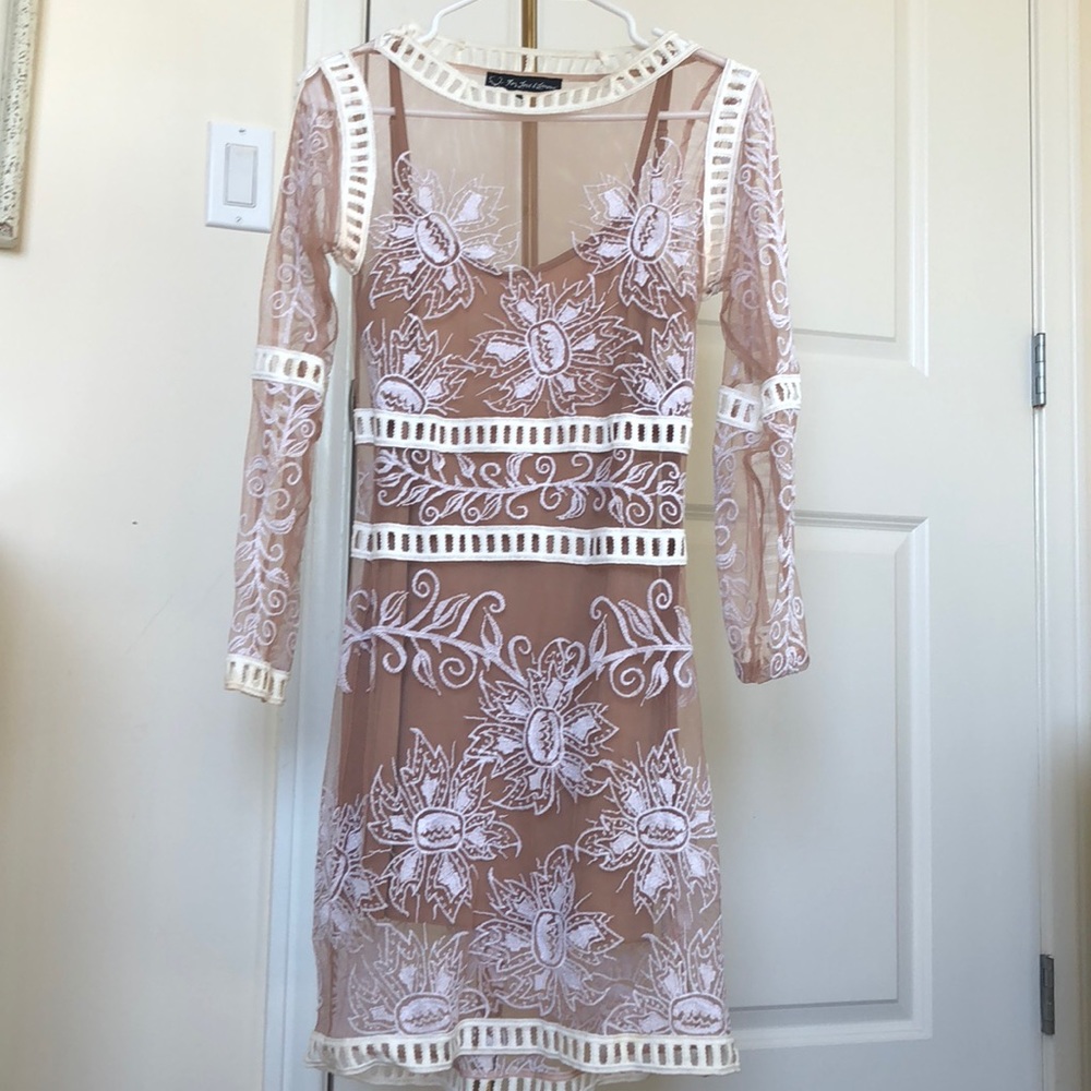 For love and lemons sheer dress with tan slip
